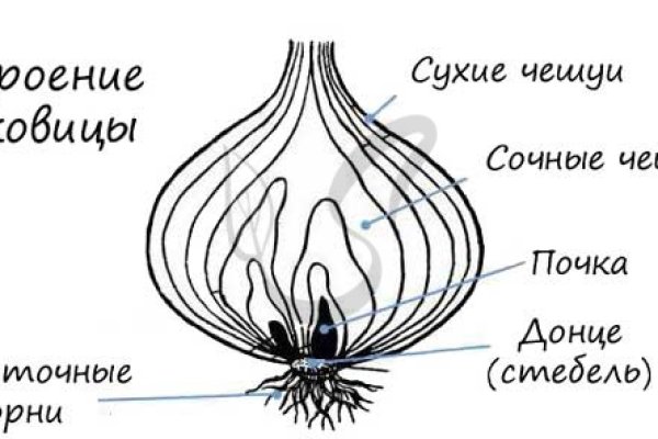 Как через сафари зайти на кракен