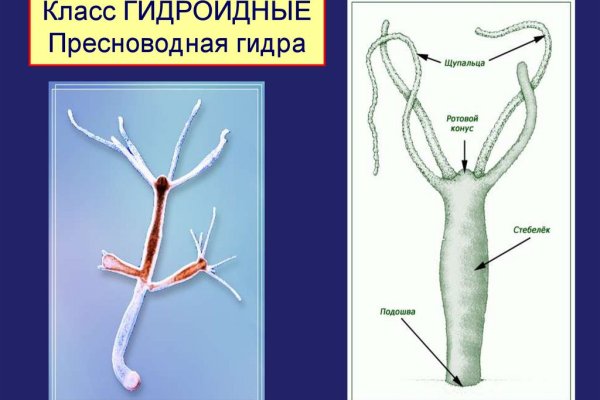 Кракен ссылка на тор